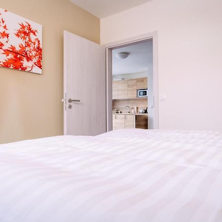 Apartmán Aura VI Boží Dar Exteriér fotografie